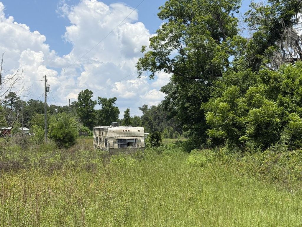 Photo of 610 SE Askew Avenue, Madison, FL 32340 (MLS # 401662)