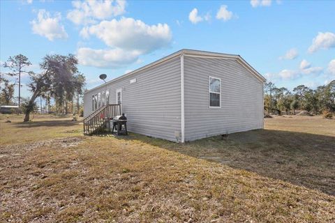 Tiny photo for 1770 Pine bluff Road, Perry, FL 32348 (MLS # 394397)