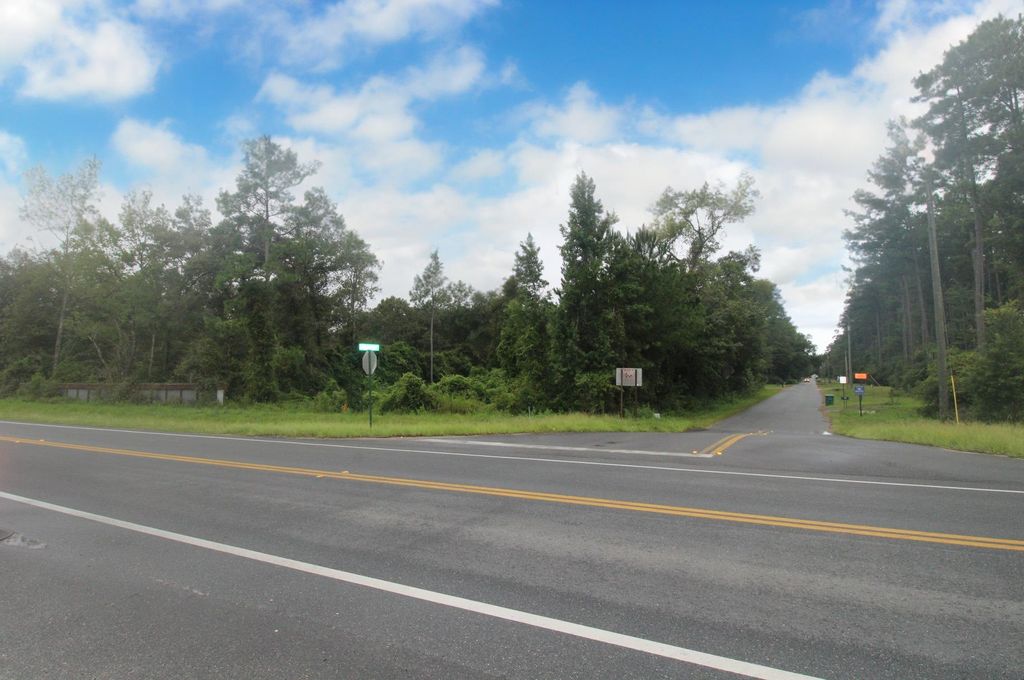 Photo of 1305 Crawfordville Highway, Crawfordville, FL 32327 (MLS # 395809)