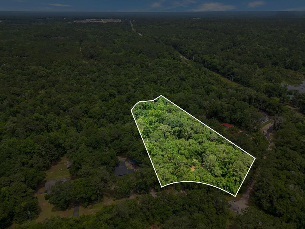 Photo of 438 Mason Drive, Havana, FL 32333 (MLS # 400869)