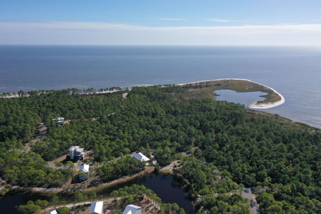 Photo of 147 Lightning Bug Lane, St Teresa, FL 32358 (MLS # 397172)