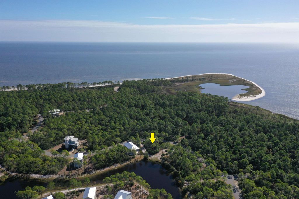 Photo of 147 Lightning Bug Lane, St Teresa, FL 32358 (MLS # 397172)