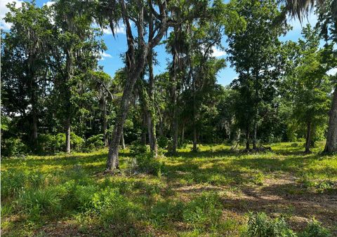 Tiny photo for XXX Maple Leaf Way, Tallahassee, FL 32311 (MLS # 382936)