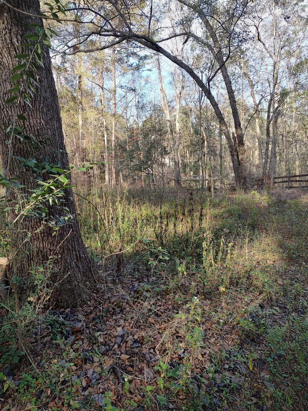 Photo of 0 Megans Lane #Unplatted land, Tallahassee, FL 32309 (MLS # 395394)