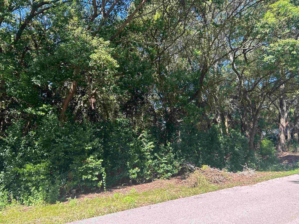 Photo of xxx NW 6th Street, Carrabelle, FL 32322 (MLS # 391799)