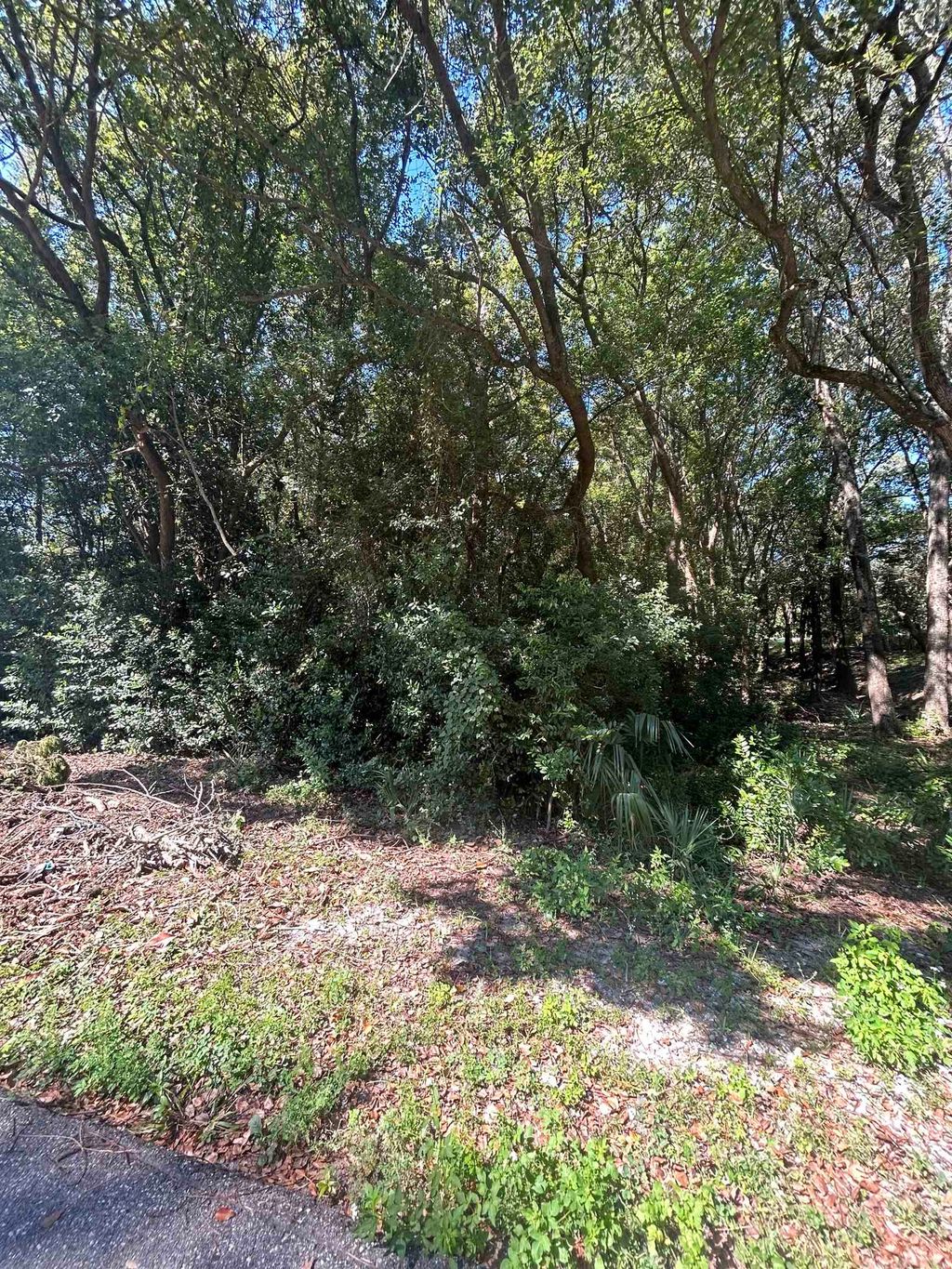 Photo of xxx NW 6th Street, Carrabelle, FL 32322 (MLS # 391799)