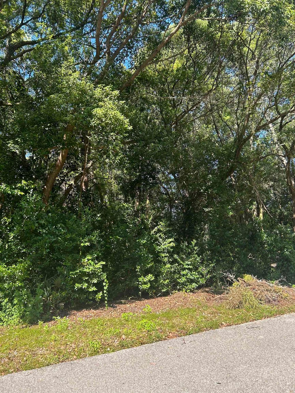 Photo of xxx NW 6th Street, Carrabelle, FL 32322 (MLS # 391799)