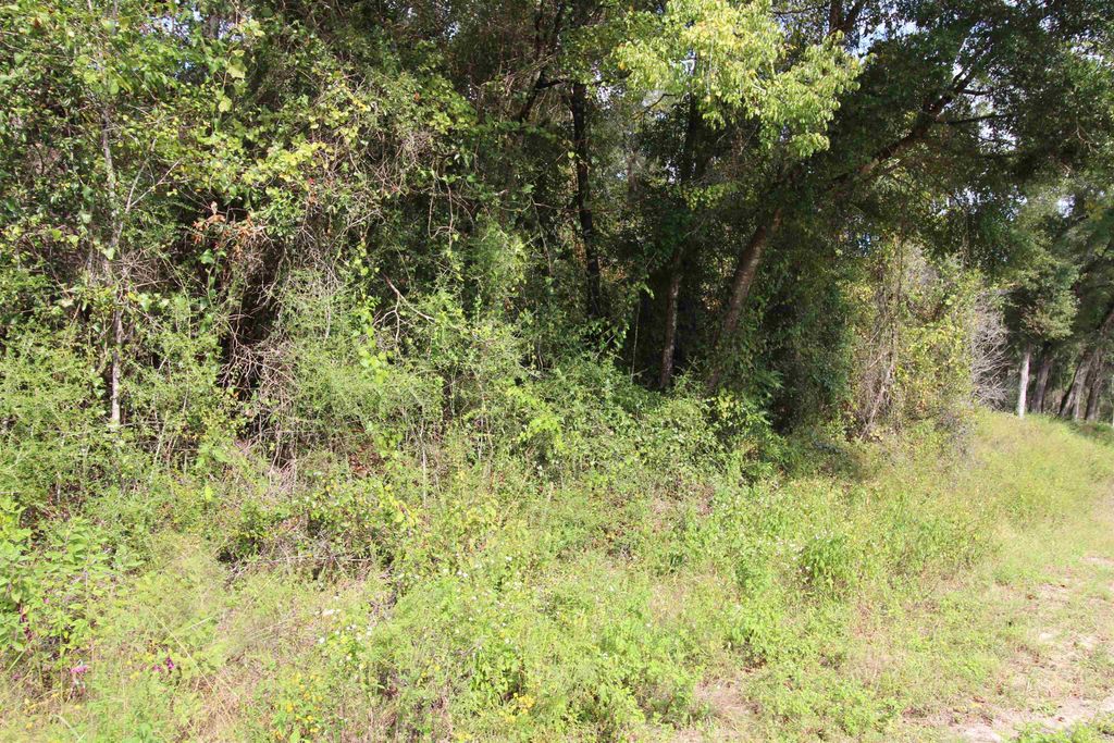 Photo of 00 Bloxham Road, Crawfordville, FL 32327 (MLS # 392091)