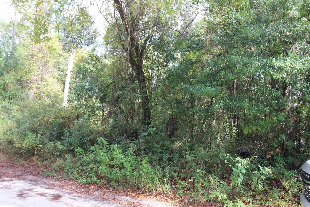 Photo of 00 Bloxham Road, Crawfordville, FL 32327 (MLS # 392091)