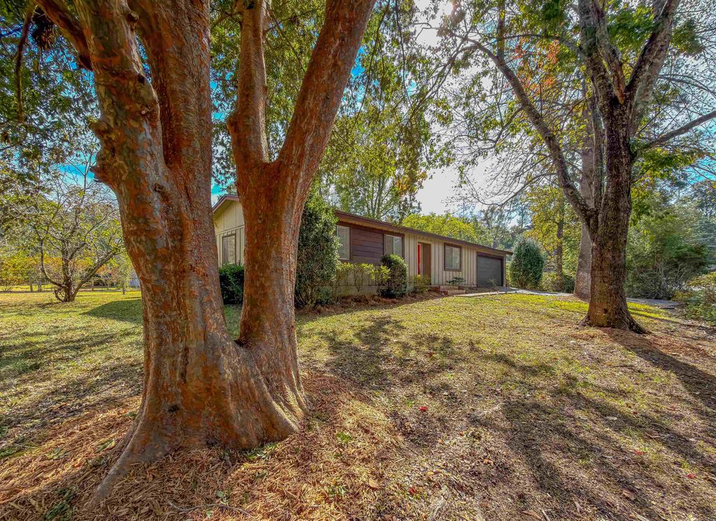 Photo of 3235 Springdale Drive, Tallahassee, FL 32312 (MLS # 391811)