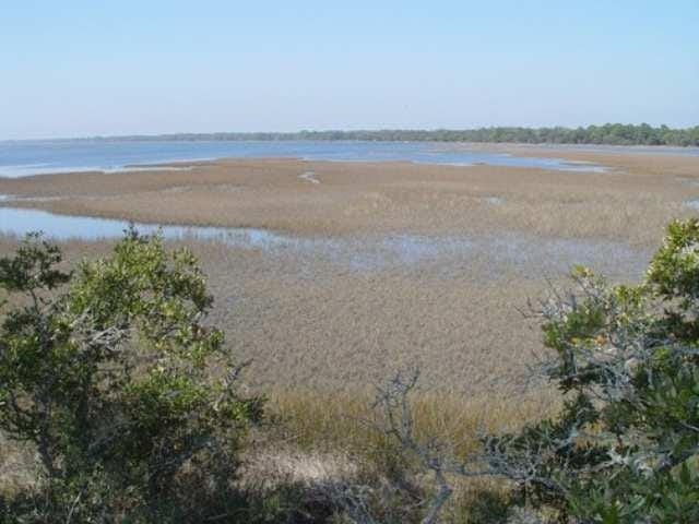Photo of 115 Hidden Harbor Drive #I, Alligator Point, FL 32346 (MLS # 403076)