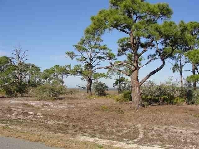 Photo of 115 Hidden Harbor Drive #I, Alligator Point, FL 32346 (MLS # 403076)