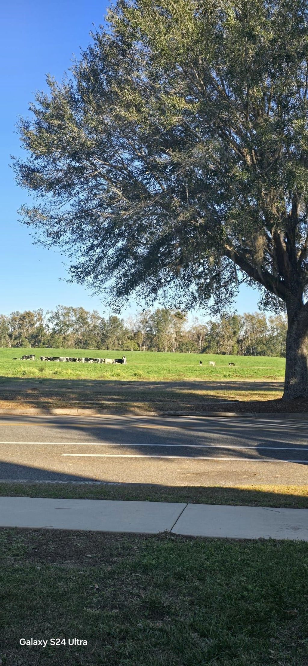 Photo of 3674 Biltmore Avenue, Tallahassee, FL 32311 (MLS # 397827)