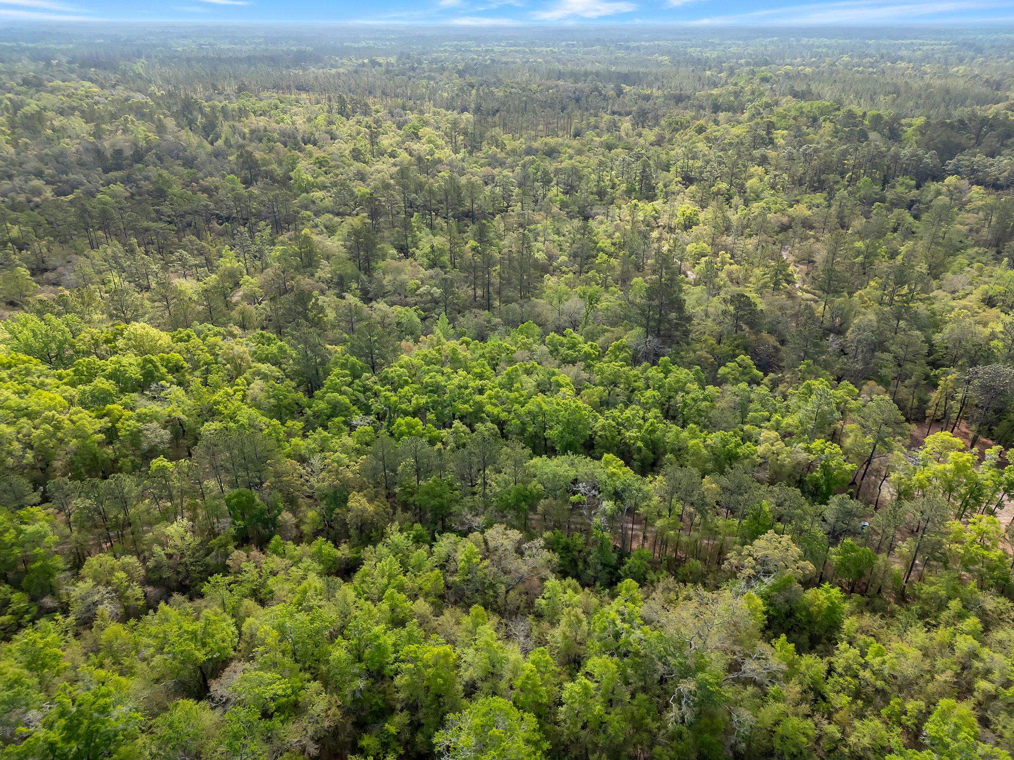 xxx Clay Revell Road