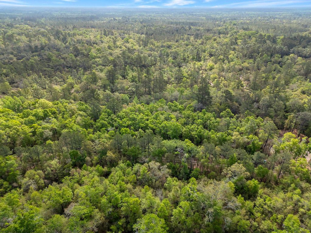 Photo of xxx Clay Revell Road, Sopchoppy, FL 32358 (MLS # 398535)