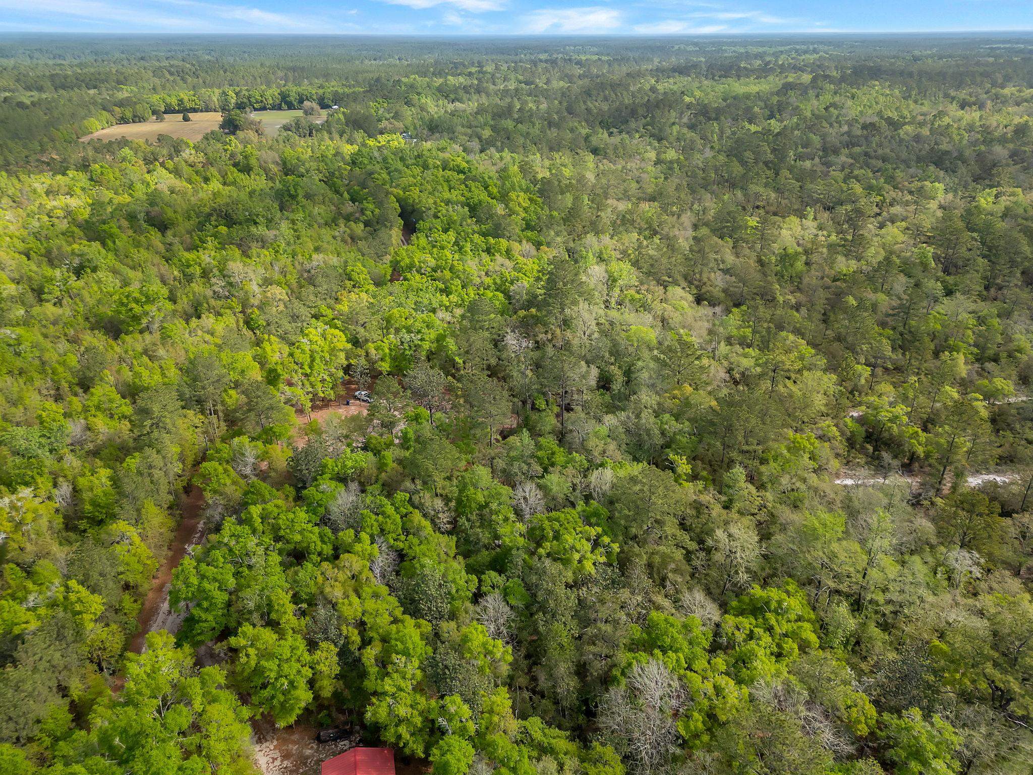 xxx Clay Revell Road