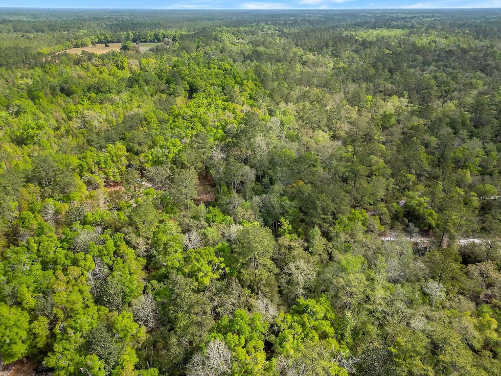 Photo of xxx Clay Revell Road, Sopchoppy, FL 32358 (MLS # 398535)