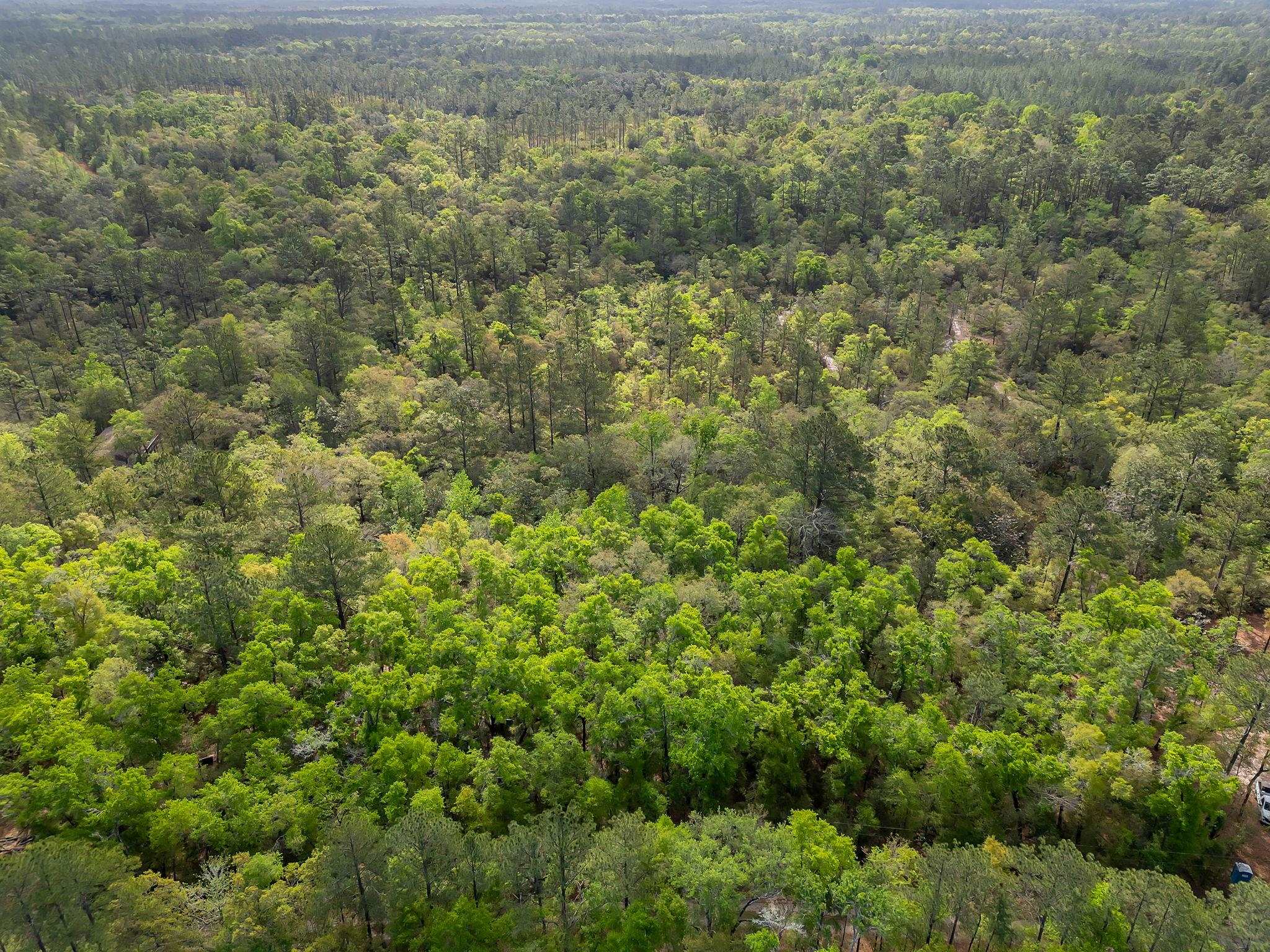 xxx Clay Revell Road