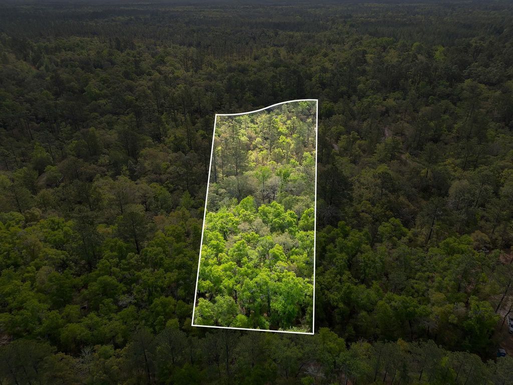 Photo of xxx Clay Revell Road, Sopchoppy, FL 32358 (MLS # 398535)