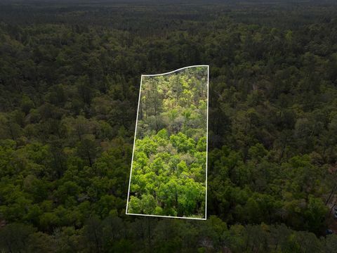 xxx Clay Revell Road Sopchoppy FL 32358