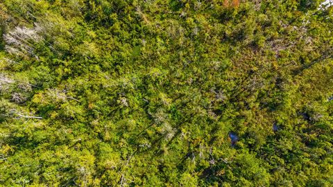 Tiny photo for 5936 Vista Road, Monticello, FL 32344 (MLS # 390212)