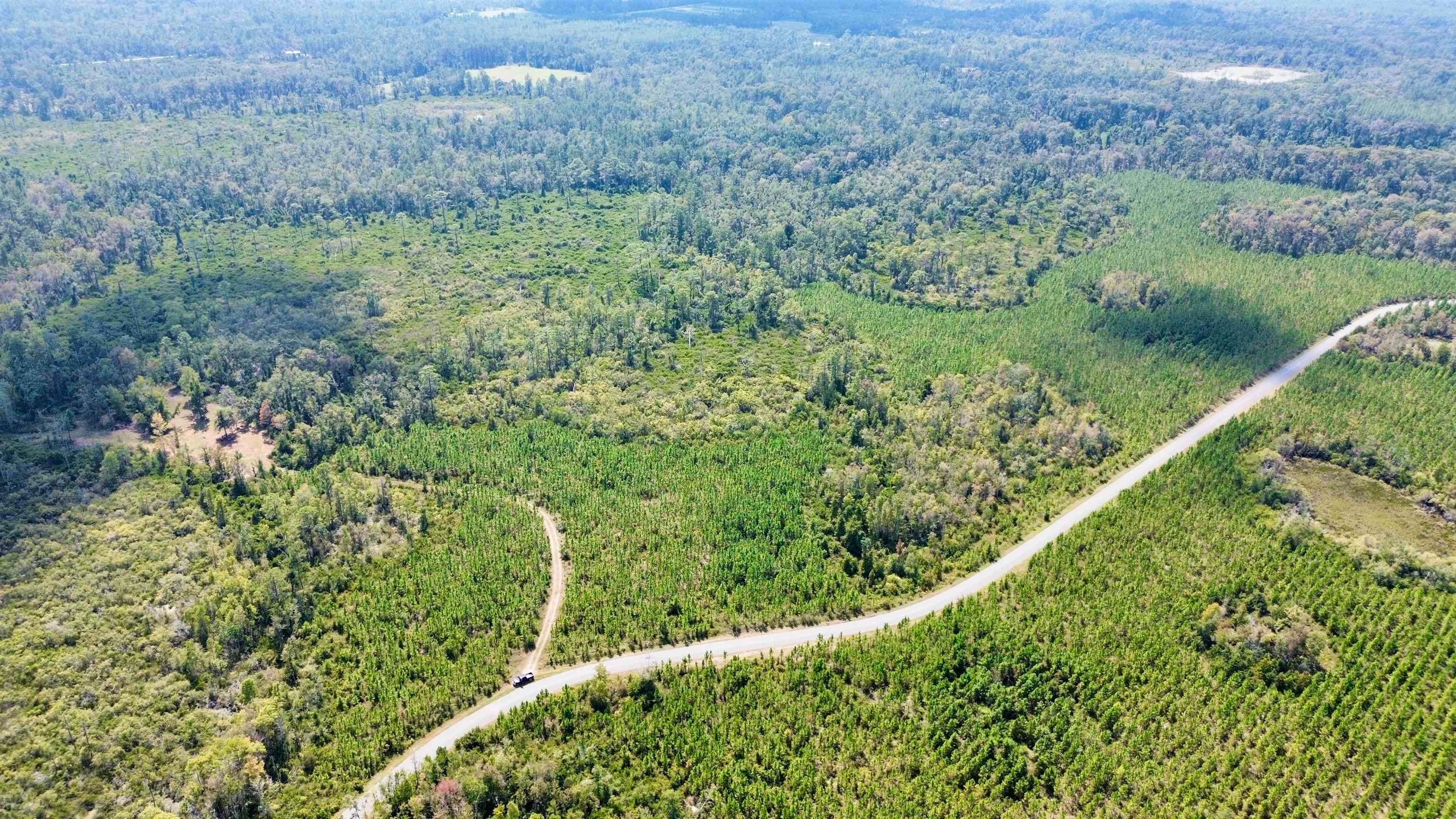 Lot 3 SW Wonderwood Street