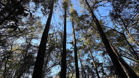 Tiny photo for 0 Apalachee Parkway, Tallahassee, FL 32311 (MLS # 390542)