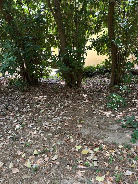 Tiny photo for 6448 Joe Cotton Trail, Tallahassee, FL 32309 (MLS # 388858)