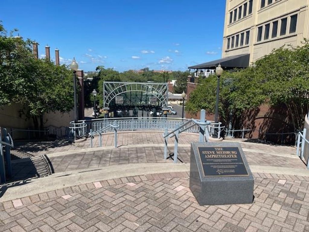 Photo of 300 S DUVAL Street #1408, Tallahassee, FL 32301 (MLS # 398768)