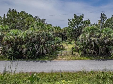 xx Blue Dolphin Drive Crawfordville FL 32327