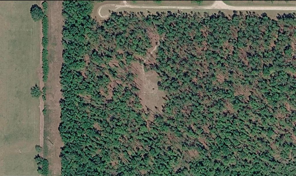 Photo of 771 NE Condurango Lane, Lee, FL 32059 (MLS # 400185)