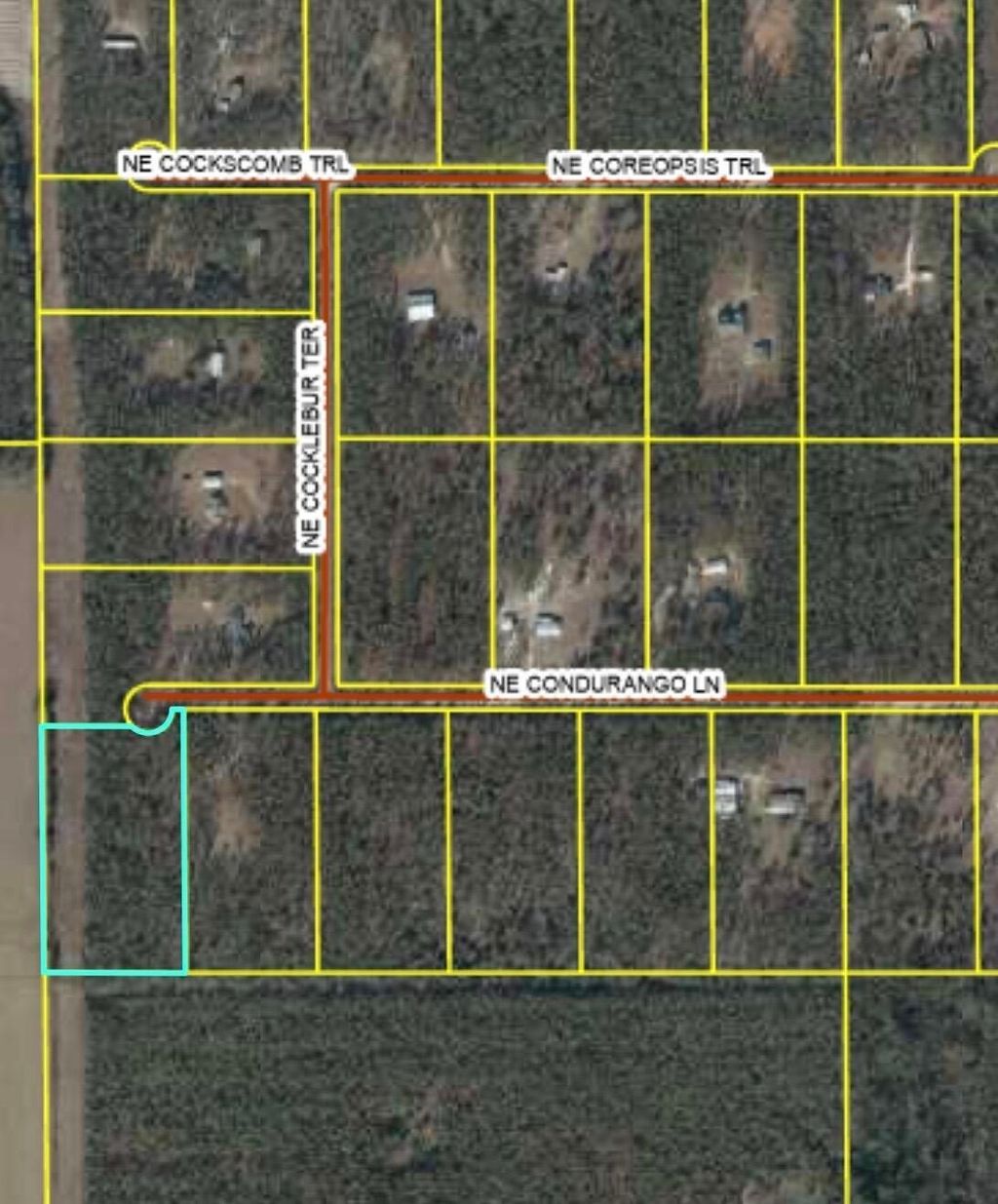 Photo of 771 NE Condurango Lane, Lee, FL 32059 (MLS # 400185)