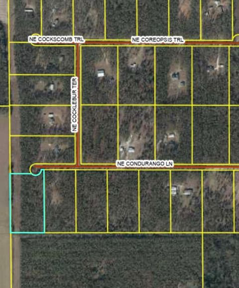 Photo of 771 NE Condurango Lane, Lee, FL 32059 (MLS # 400185)