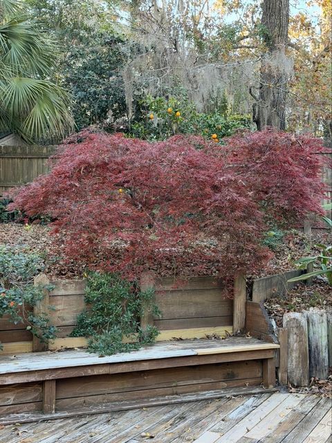 Tiny photo for 1115 Domingo Drive, Tallahassee, FL 32304 (MLS # 397338)