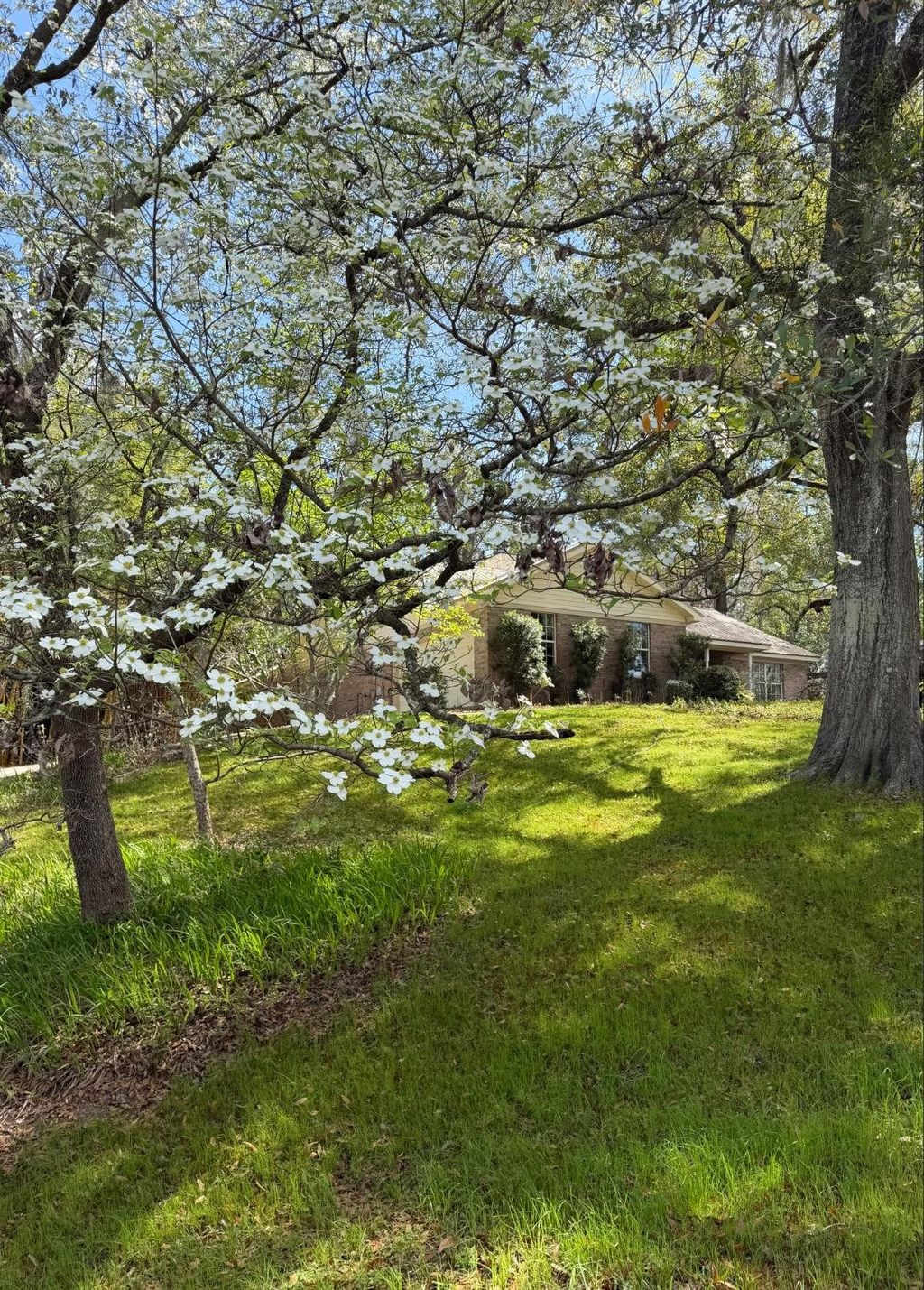 Photo of 1115 Domingo Drive, Tallahassee, FL 32304 (MLS # 397338)