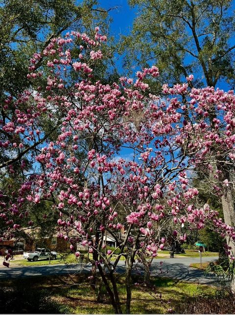 Tiny photo for 1115 Domingo Drive, Tallahassee, FL 32304 (MLS # 397338)