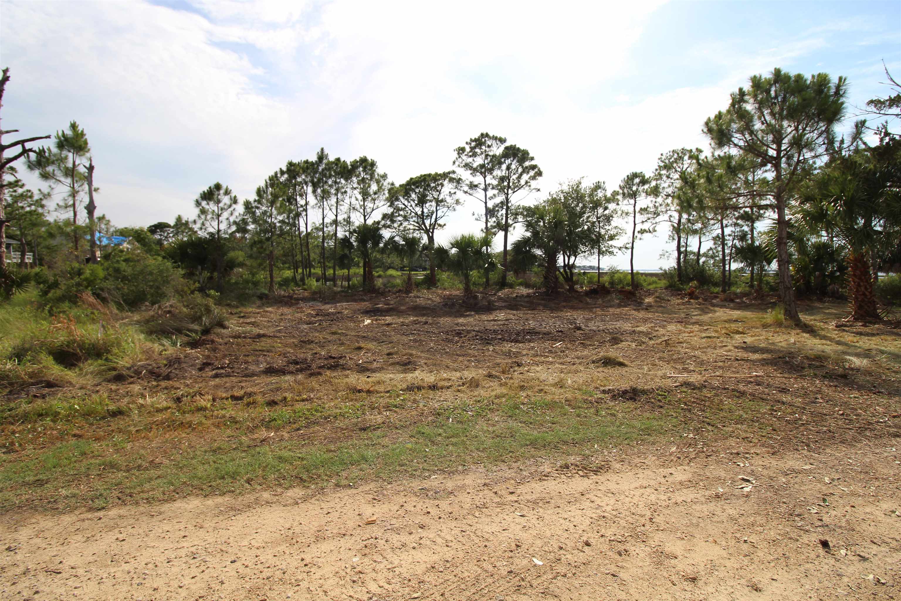 20 George Vause Road