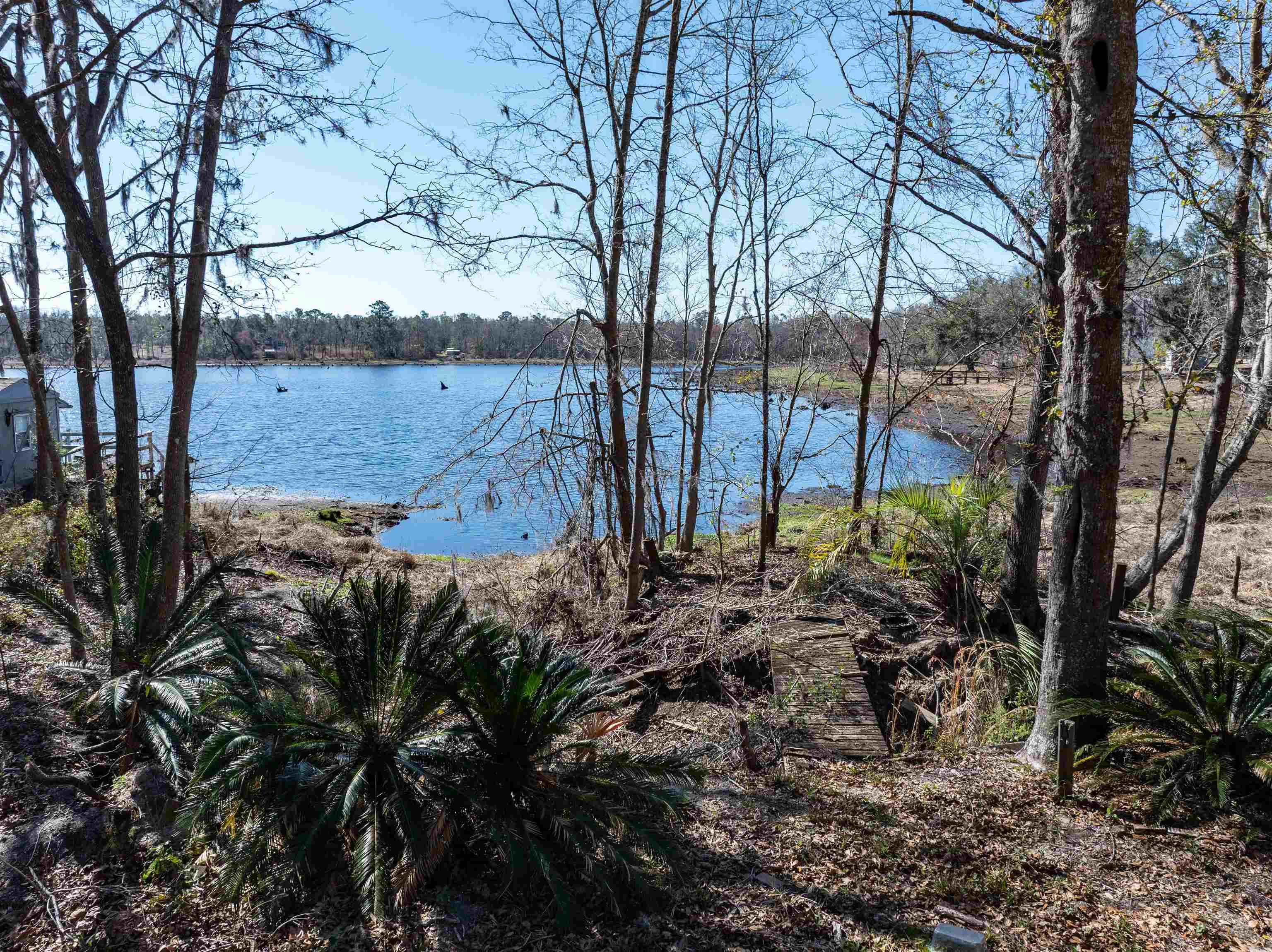 Vacant NW Live Oak Circle