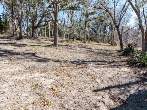 Tiny photo for Vacant NW Live Oak Circle, Jennings, FL 32053 (MLS # 396791)