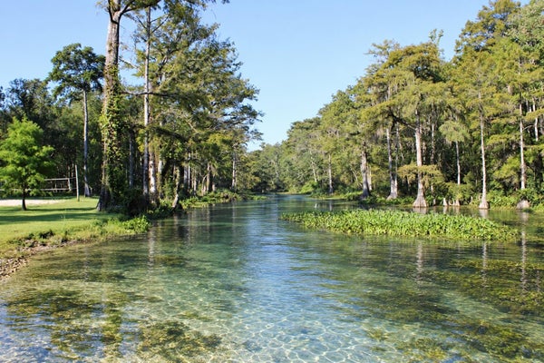 1410 MALLOY LANDING RD, MONTICELLO, FL 32344 - Image f682b0cdaa2d0e70c59f5b16a5aaed30/2485906902