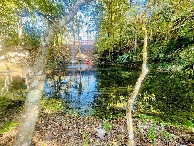 610 N CALHOUN Street