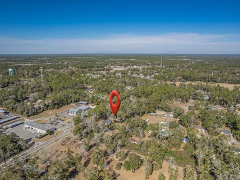 Tiny photo for 321 Trice Lane, Crawfordville, FL 32327 (MLS # 399409)