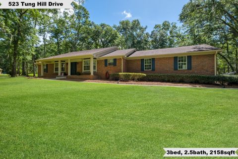 Photo of 523 Tung Hill Drive, Tallahassee, FL 32317 (MLS # 387416)