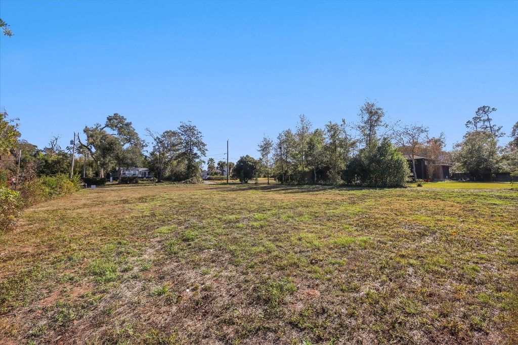 Photo of 1812 Old Fort Drive, Tallahassee, FL 32301 (MLS # 393913)