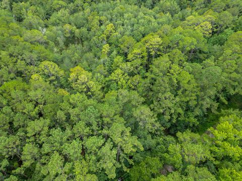 Tiny photo for XXX Red Gum Road, Tallahassee, FL 32304 (MLS # 388851)