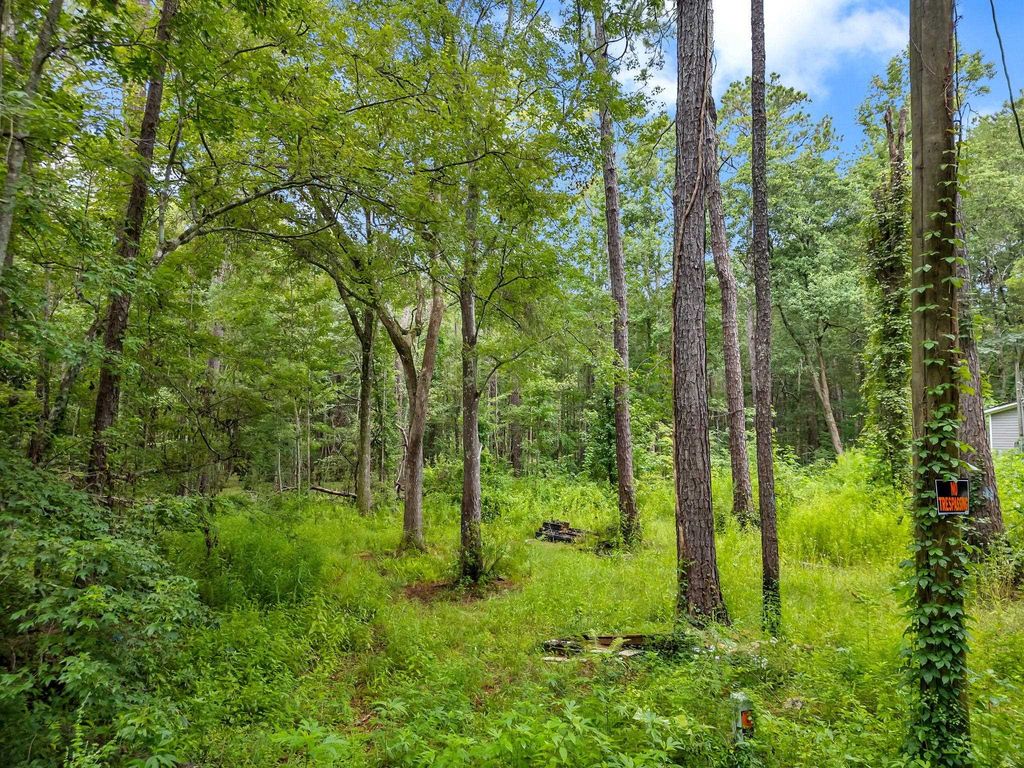 Photo of XXX Red Gum Road, Tallahassee, FL 32304 (MLS # 388851)