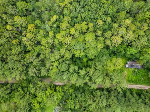 Tiny photo for XXX Red Gum Road, Tallahassee, FL 32304 (MLS # 388851)