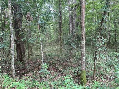 Photo of 0 Tung Grove Road, Tallahassee, FL 32317 (MLS # 390038)