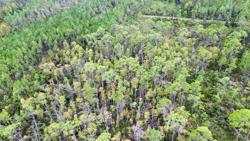 Photo of 000 Circle Block Loop, Greenville, FL 32331 (MLS # 391678)