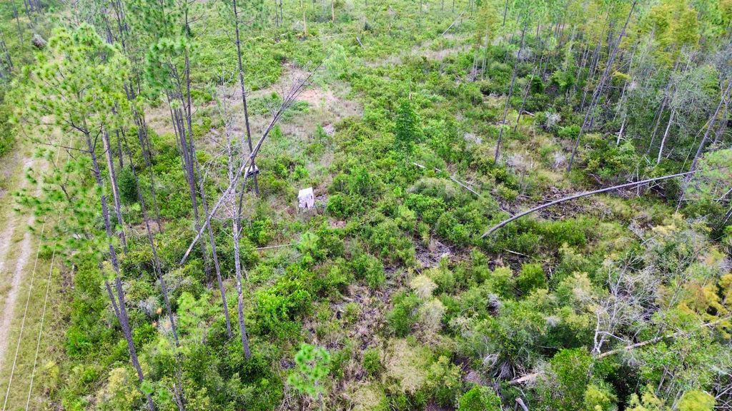 Photo of 000 Circle Block Loop, Greenville, FL 32331 (MLS # 391678)